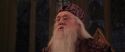 CS-Potterish_10139.jpg