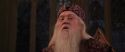 CS-Potterish_10140.jpg