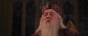 CS-Potterish_10144.jpg