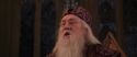 CS-Potterish_10146.jpg