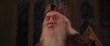 CS-Potterish_10147.jpg