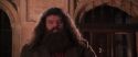 CS-Potterish_10169.jpg