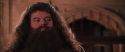 CS-Potterish_10171.jpg