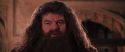 CS-Potterish_10172.jpg