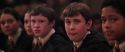CS-Potterish_10177.jpg