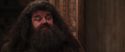 CS-Potterish_10183.jpg