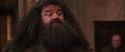 CS-Potterish_10184.jpg