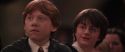 CS-Potterish_10189.jpg