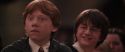 CS-Potterish_10190.jpg