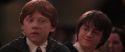 CS-Potterish_10191.jpg