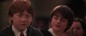 CS-Potterish_10192.jpg