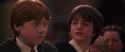 CS-Potterish_10193.jpg