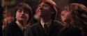 CS-Potterish_10206.jpg