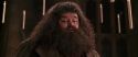 CS-Potterish_10208.jpg
