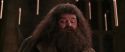 CS-Potterish_10209.jpg