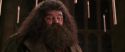 CS-Potterish_10210.jpg