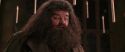 CS-Potterish_10211.jpg