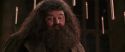 CS-Potterish_10212.jpg