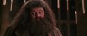 CS-Potterish_10215.jpg