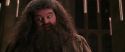 CS-Potterish_10216.jpg