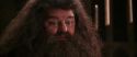 CS-Potterish_10220.jpg