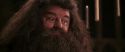 CS-Potterish_10221.jpg
