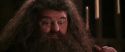 CS-Potterish_10222.jpg