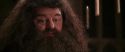CS-Potterish_10223.jpg