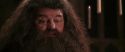 CS-Potterish_10224.jpg