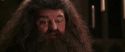 CS-Potterish_10225.jpg