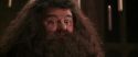 CS-Potterish_10226.jpg