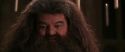 CS-Potterish_10227.jpg