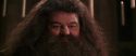 CS-Potterish_10228.jpg