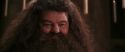 CS-Potterish_10229.jpg