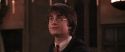 CS-Potterish_10237.jpg
