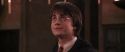 CS-Potterish_10238.jpg