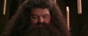 CS-Potterish_10241.jpg