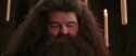 CS-Potterish_10242.jpg