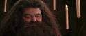 CS-Potterish_10243.jpg