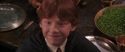 CS-Potterish_10249.jpg