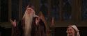 CS-Potterish_10255.jpg