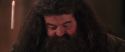 CS-Potterish_10260.jpg