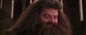 CS-Potterish_10268.jpg