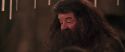 CS-Potterish_10309.jpg