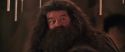 CS-Potterish_10310.jpg