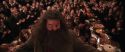 CS-Potterish_10316.jpg