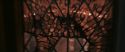 CS-Potterish_10334.jpg