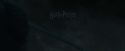 CdF-Potterish_0062.jpg