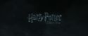CdF-Potterish_0070.jpg