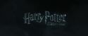 CdF-Potterish_0072.jpg